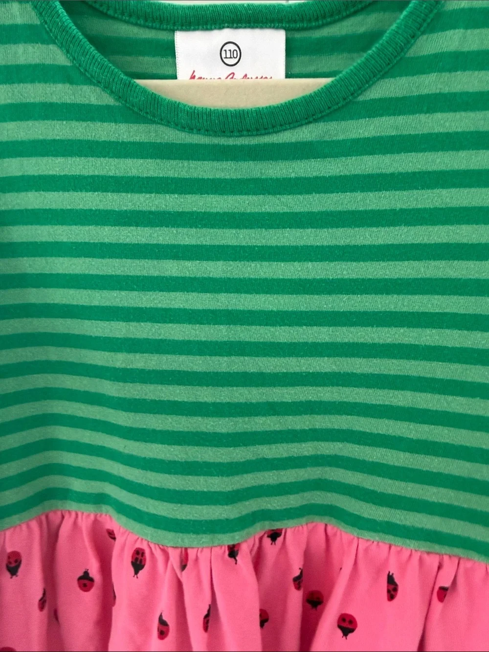 Green & Pink Long-Sleeve Kids Dress with Ladybug Print